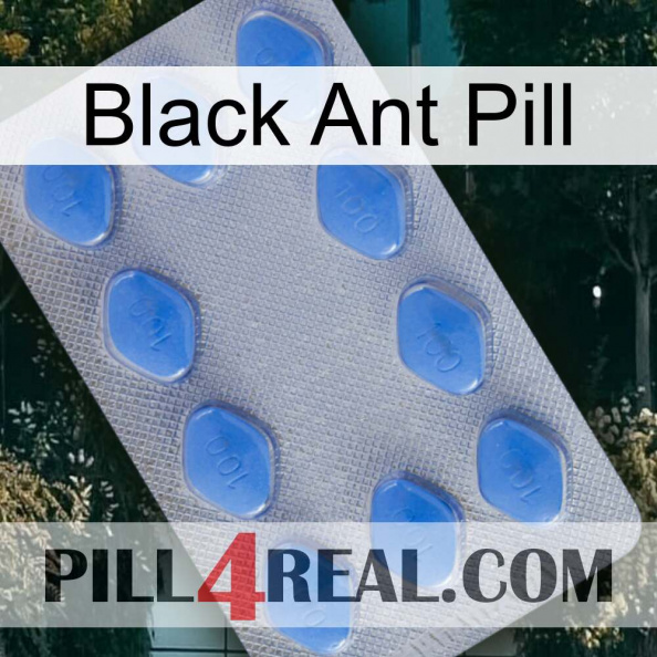 Black Ant Pill 21.jpg